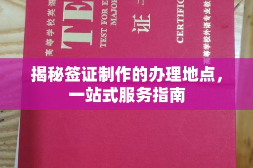 射阳揭秘签证制作的办理地点，一站式服务指南