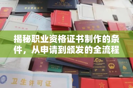 沈河揭秘职业资格证书制作的条件，从申请到颁发的全流程解析